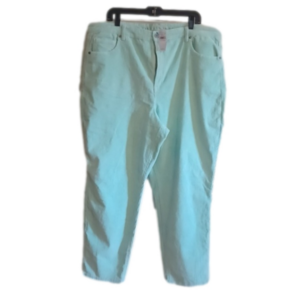 American Eagle plus size light green NWT corduary pants, size 22. Gift idea!